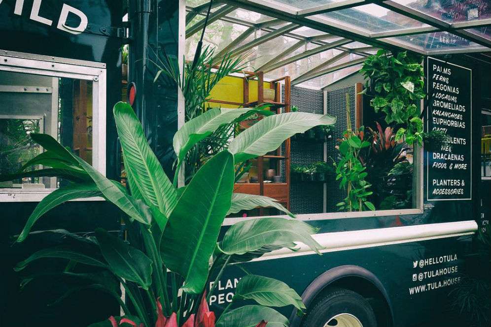 Tula House