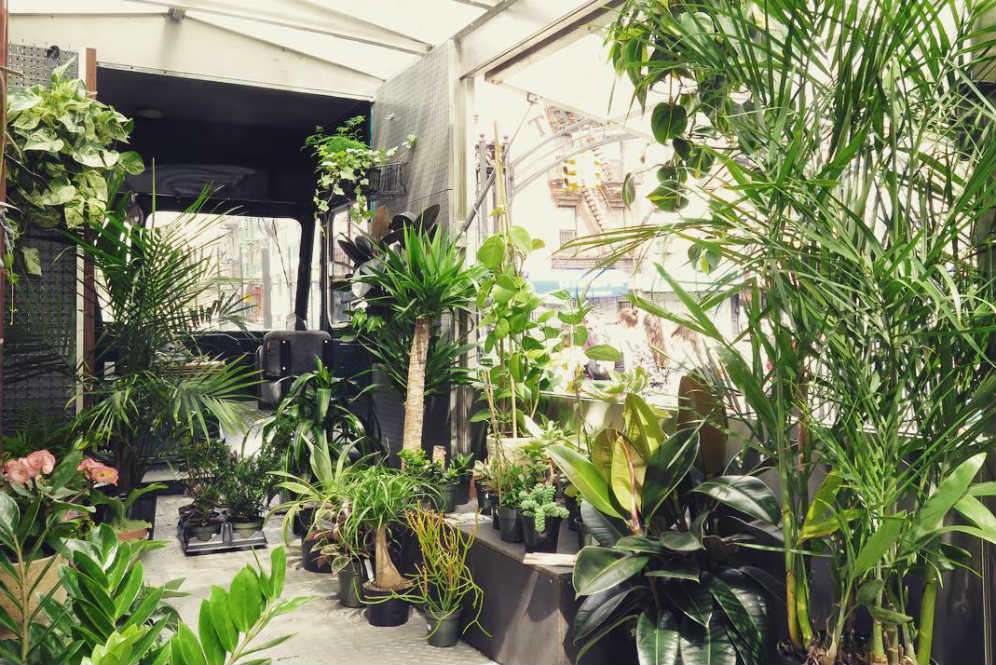 Tula House bagian dalam
