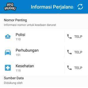 Ayo Mudik