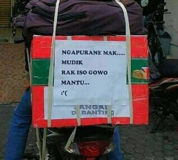 Meme Mudik