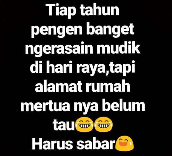 Meme Mudik