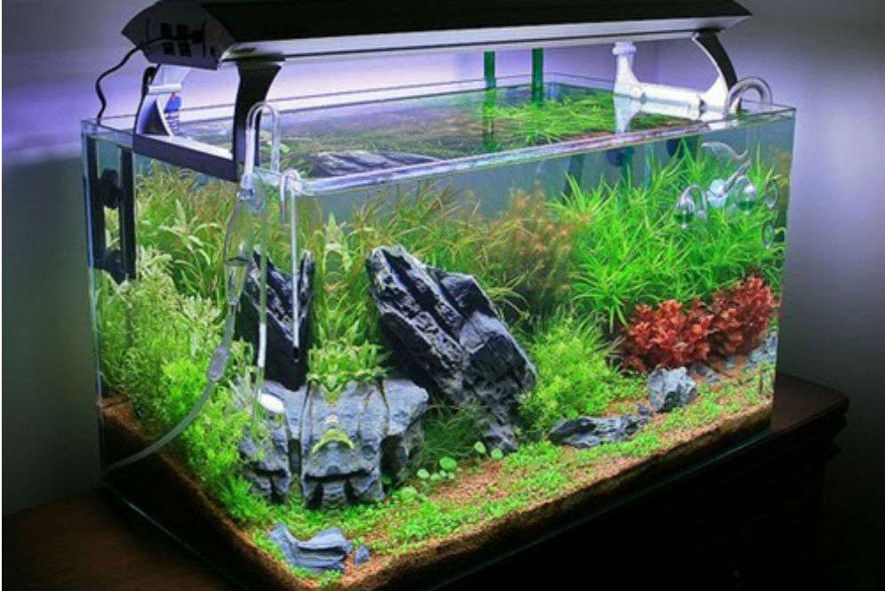 Aquarium