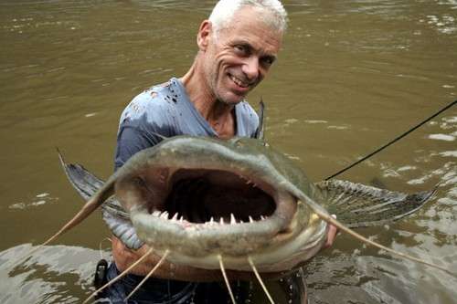 Ikan Paling Berbahaya