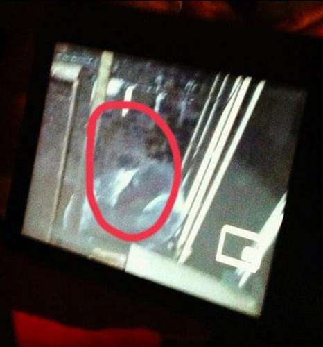Koleksi Penampakan Hantu