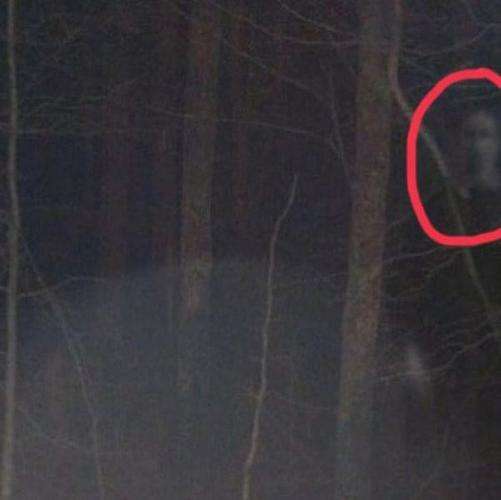 Koleksi Penampakan Hantu