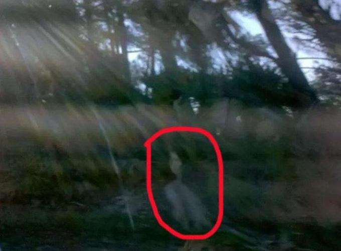 Koleksi Penampakan Hantu