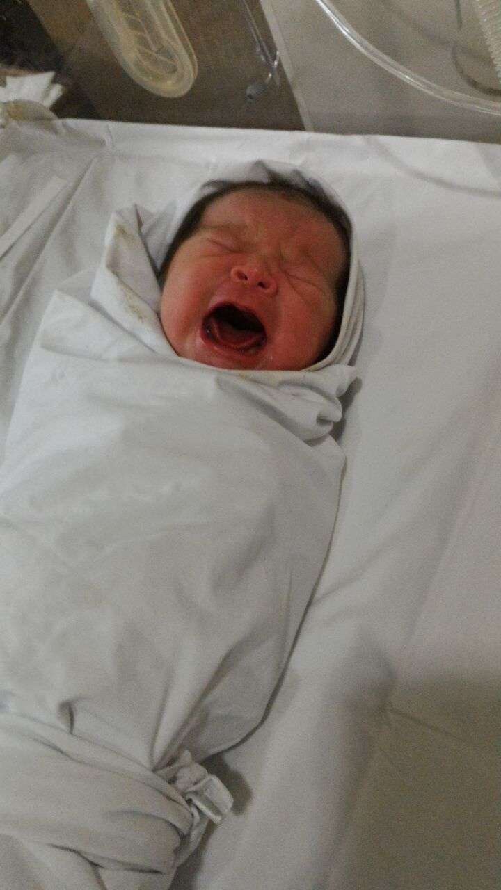 bayi olive jensen
