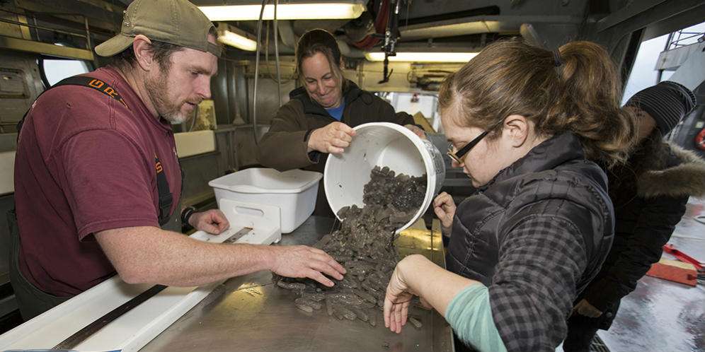 Pyrosoma diteliti oleh para ilmuwan