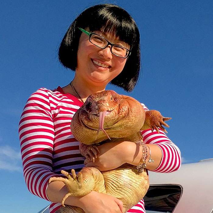 MacGyver the Lizard