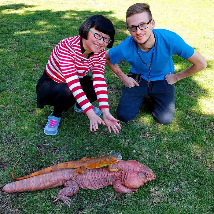 MacGyver the Lizard