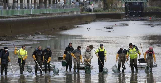 Bersihkan Kanal Bersihkan Kanal