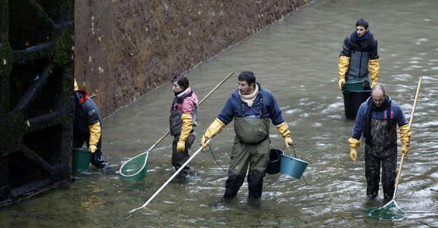 Bersihkan Kanal Bersihkan Kanal