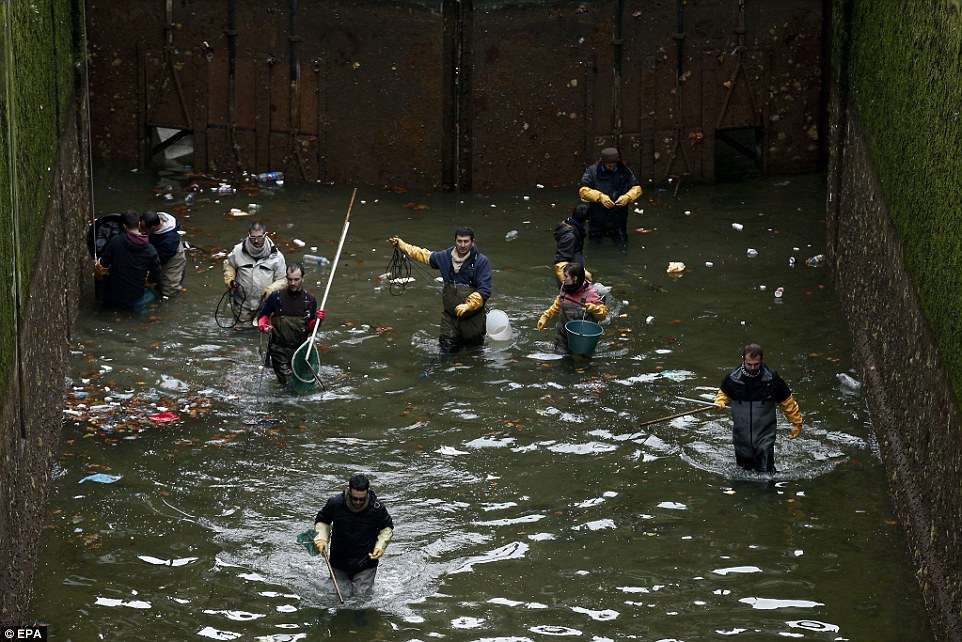 Bersihkan Kanal Bersihkan Kanal