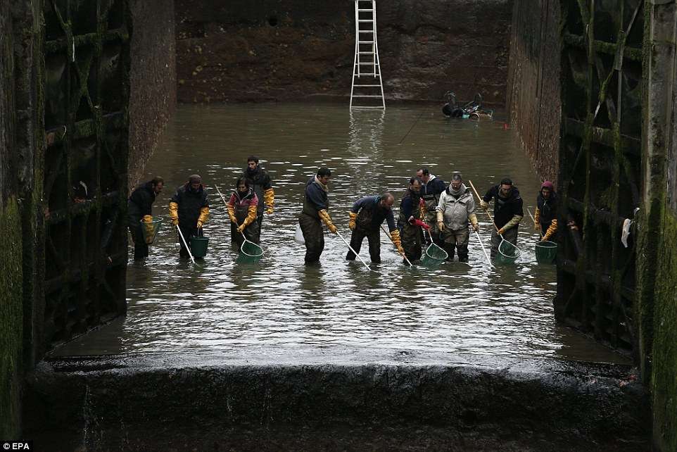 Bersihkan Kanal Bersihkan Kanal