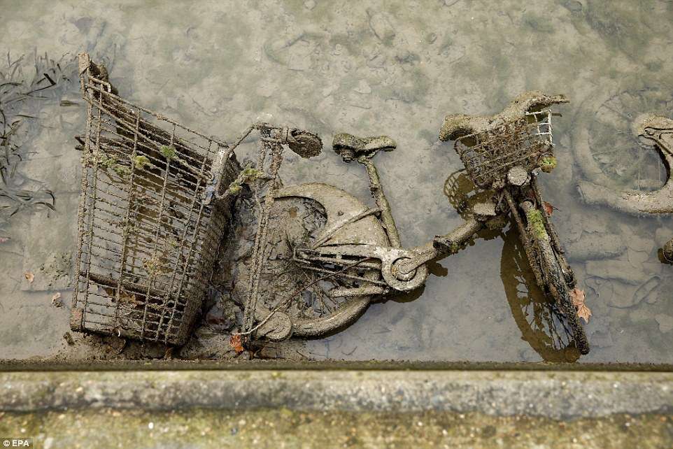 Bersihkan Kanal Bersihkan Kanal