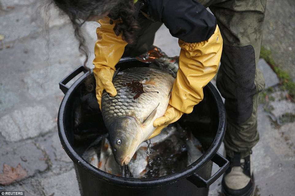 Bersihkan Kanal Bersihkan Kanal