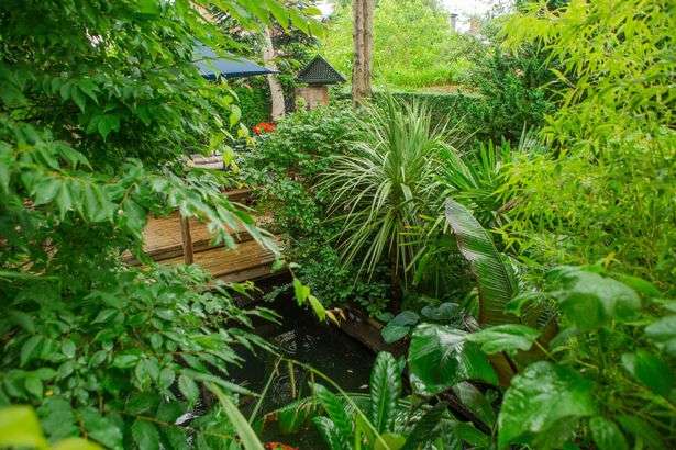 Garden Jungle