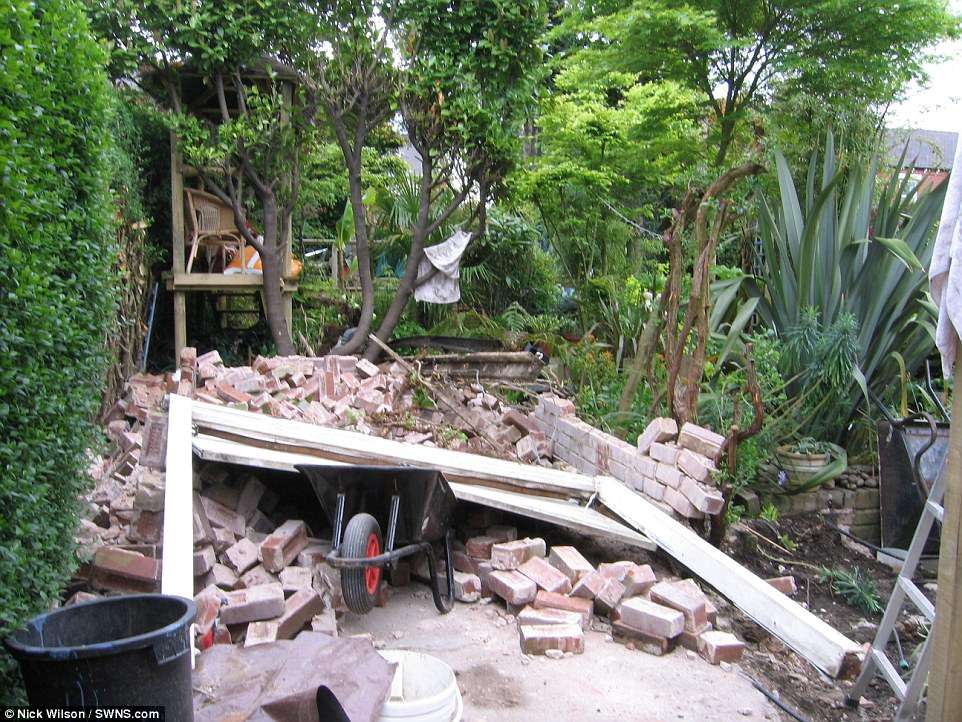 Hutan Hujan Hutan Hujan