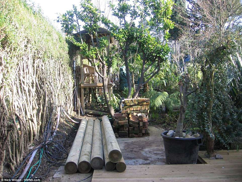 Hutan Hujan Hutan Hujan
