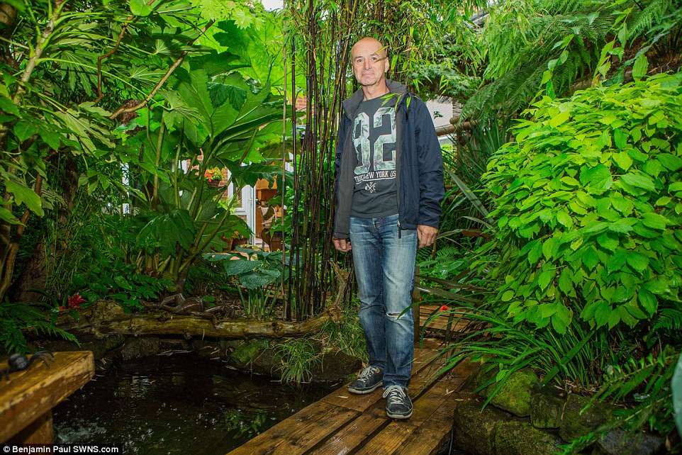 Hutan Hujan Hutan Hujan