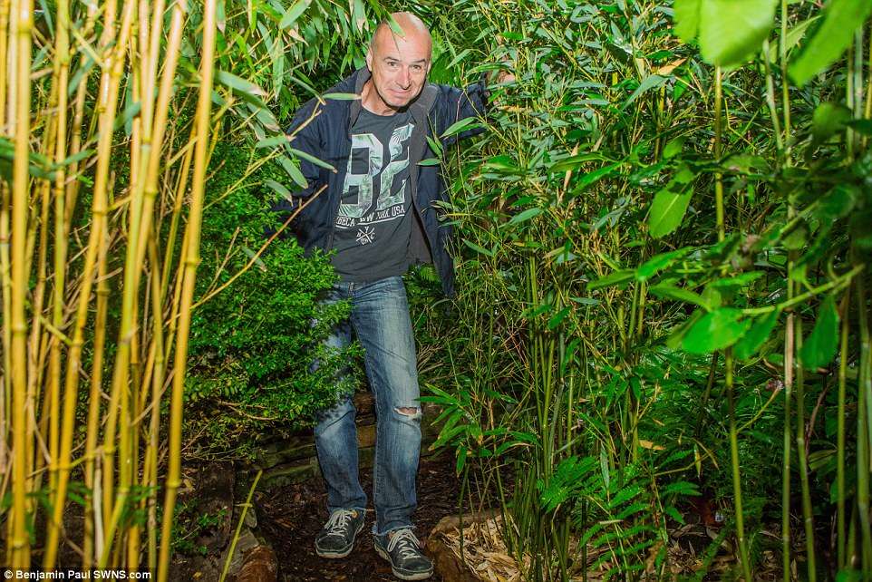 Hutan Hujan Hutan Hujan