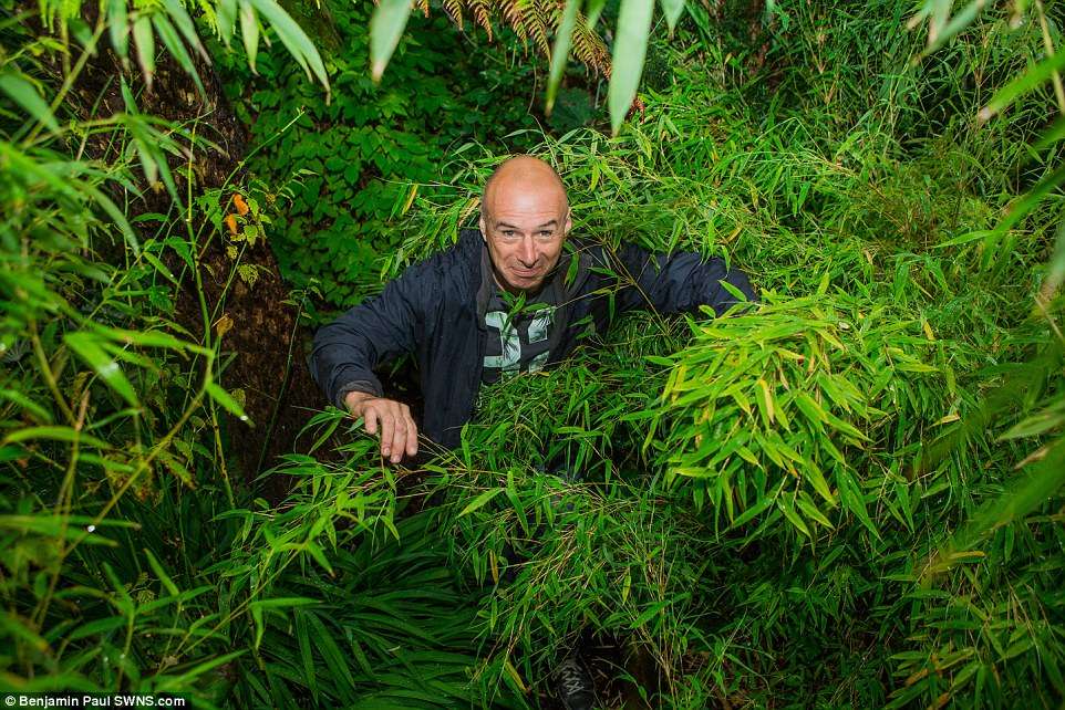 Hutan Hujan Hutan Hujan