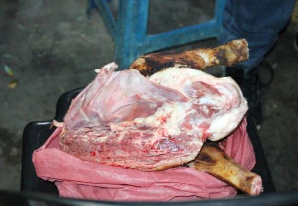 anjing