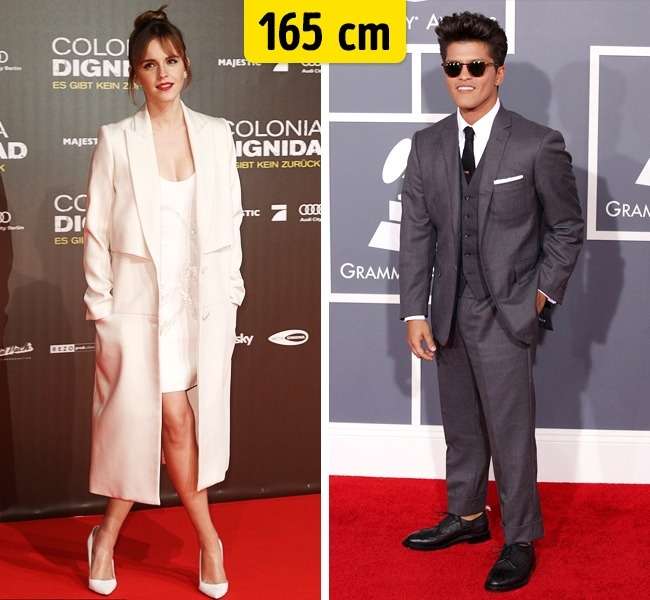 Tinggi Tubuh Seleb Hollywood Tinggi Tubuh Seleb Hollywood