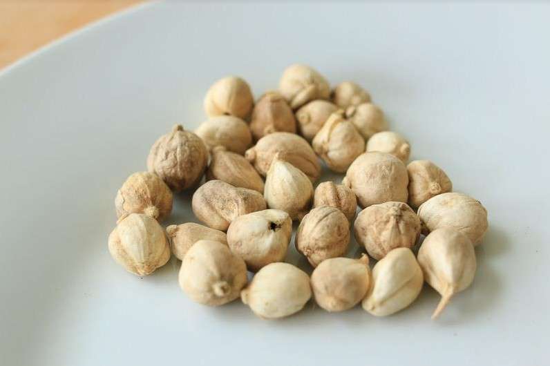 rempah