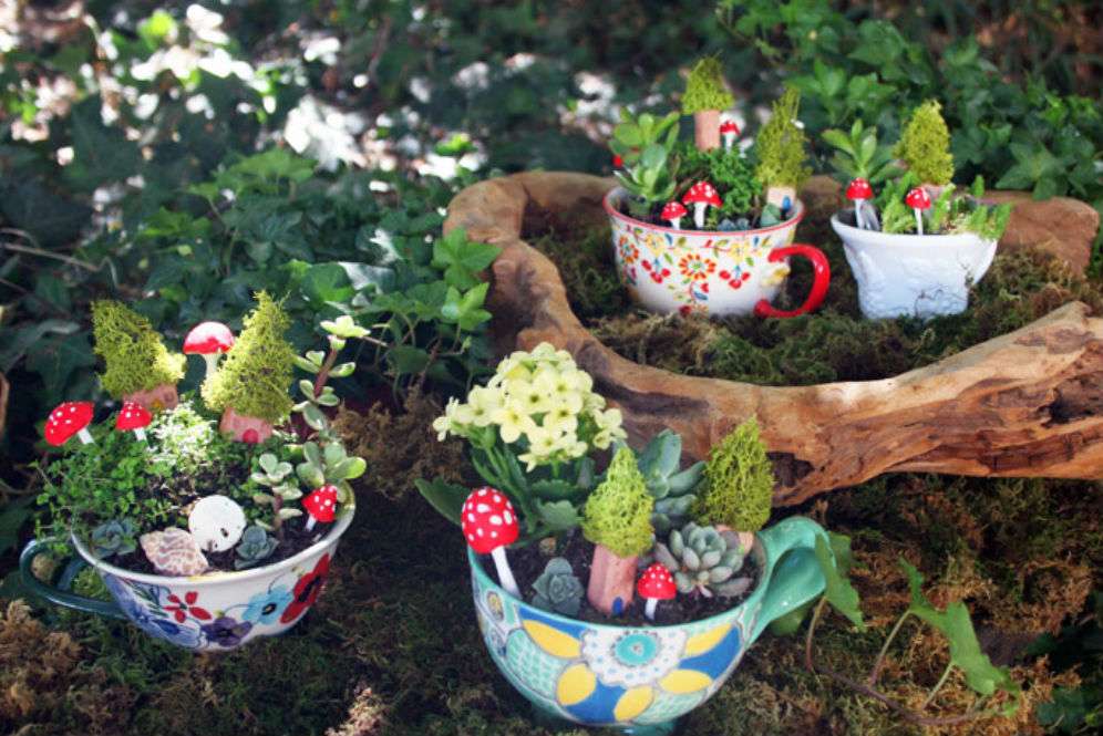Taman dalam mug warna-warni