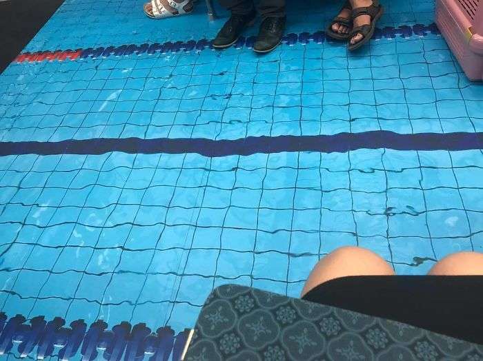 kereta