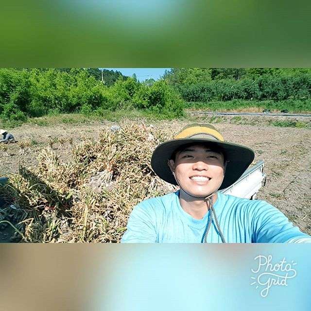Instagram.com/hansoljang110