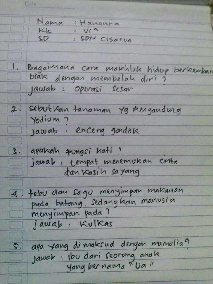 Bocah SD