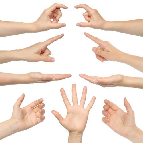 Shutterstock