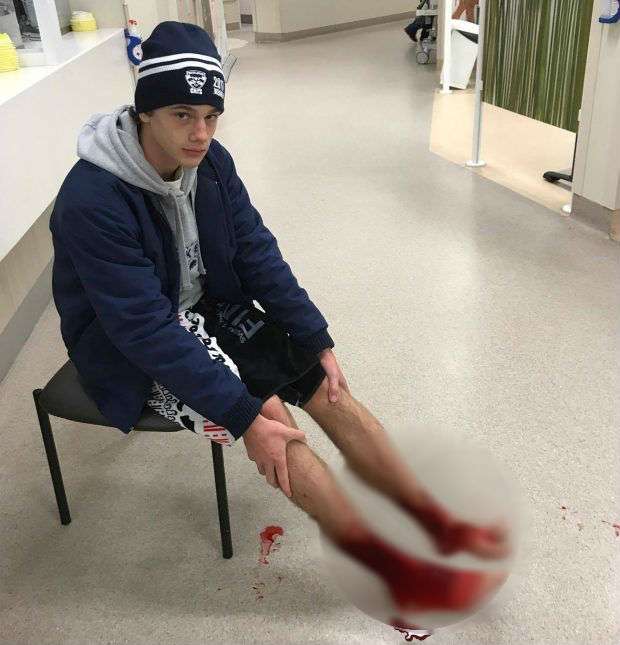 serangga laut serangga laut