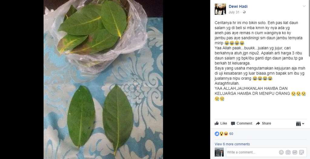 daun salam