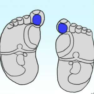 Titik refleksi untuk pertumbuhan