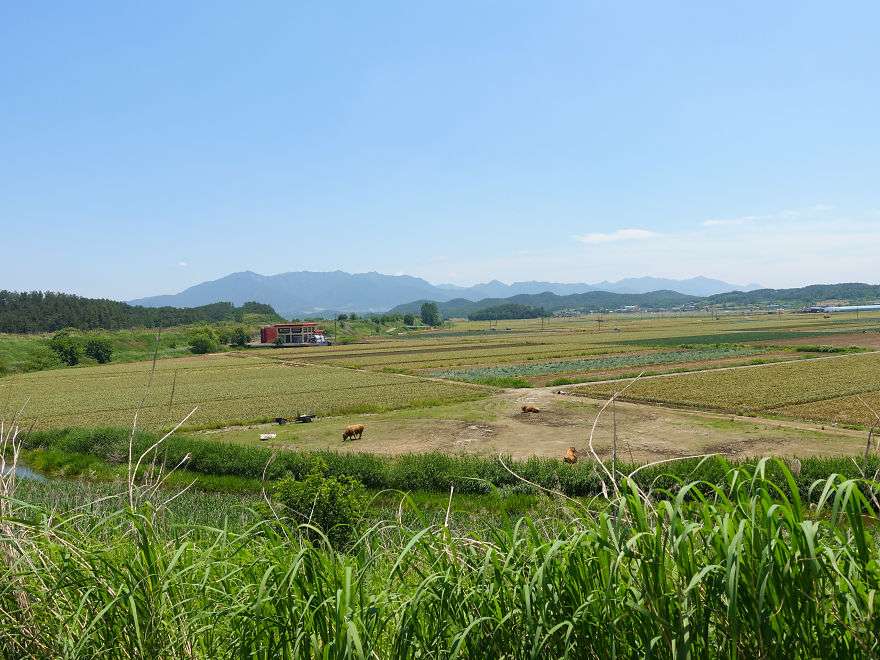 Korea