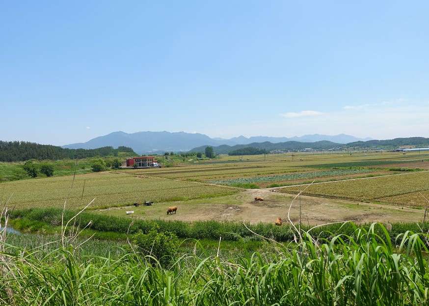 korea