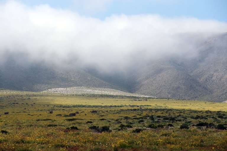 Gurun Atacana