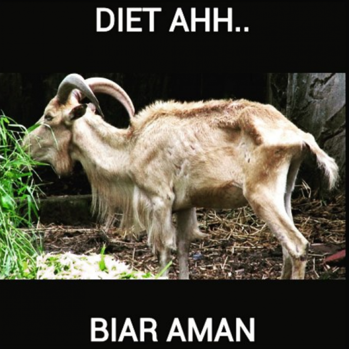 Meme Idul Adha