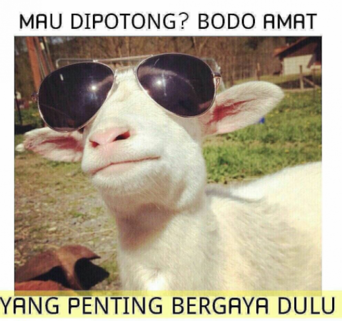 Meme Idul Adha
