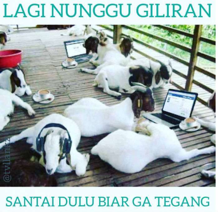 Kurban