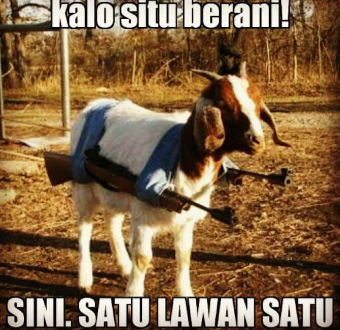 Kurban