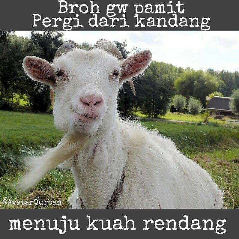 Kurban