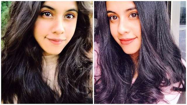 Dishani
