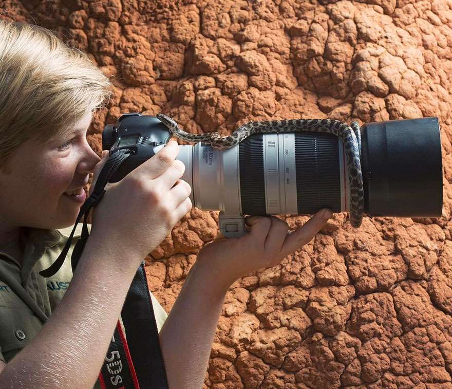 Robert Irwin Robert Irwin