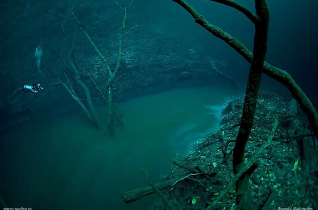 Penemuan Dalam Laut Penemuan Dalam Laut
