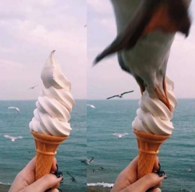 Fail