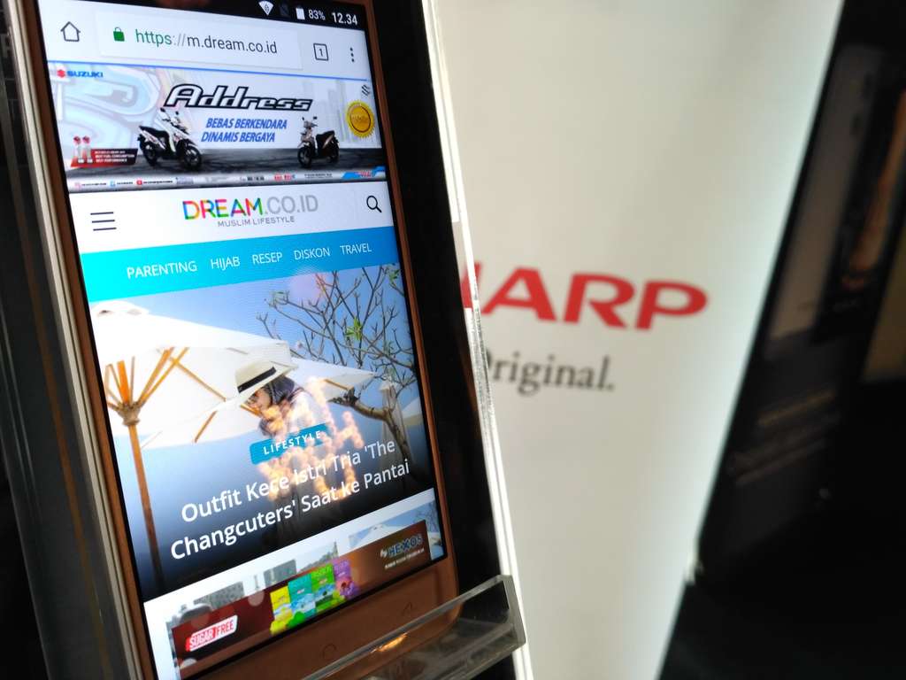 Sharp R1 (2)